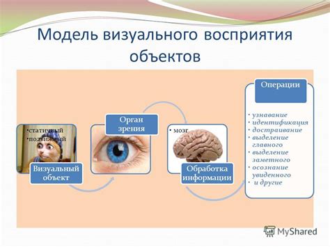  Значение визуального восприятия для человека 