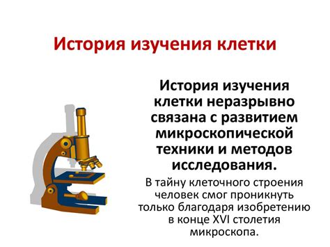  История изучения 