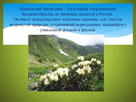  Климатические характеристики регионов с уникальной флорой и фауной
