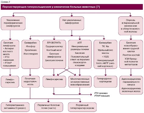 Лечение и контроль повышенного уровня кальция в крови с помощью диеты и лекарств 