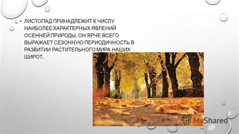  Миграция рационов в зимнюю сезонную периодичность 