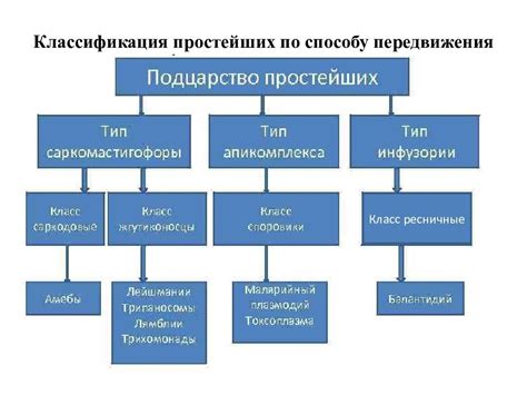  Особенности поливитаминов и мультивитаминов: сходства и различия 