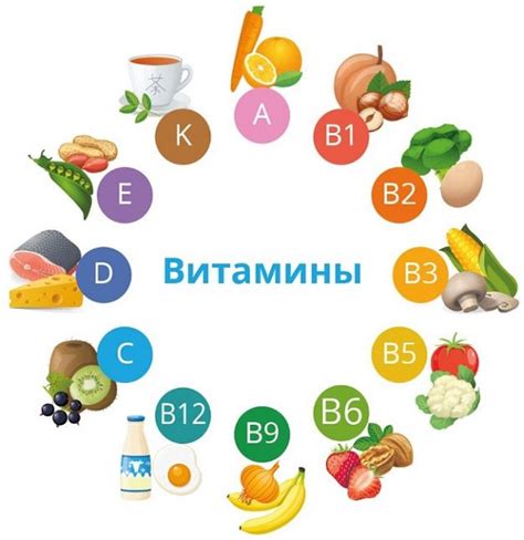  Передача витаминов через плаценту: уникальная возможность для поддержания здоровья плода 