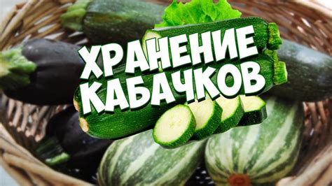  Правильный выбор и хранение кабачков перед приготовлением икры 