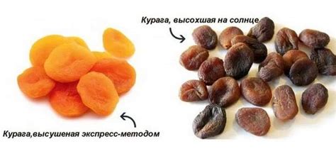  Предотвращение гниения и загнивания клубней 