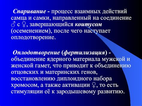  Процесс объединения самца и самки после окота 