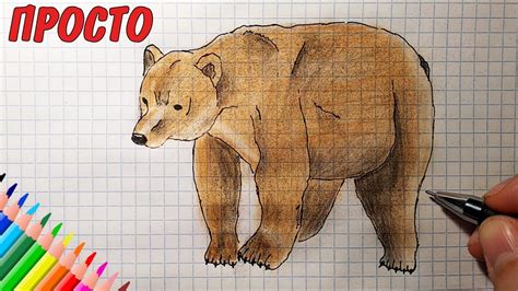  Путь маленького японского медведя на большой экран 