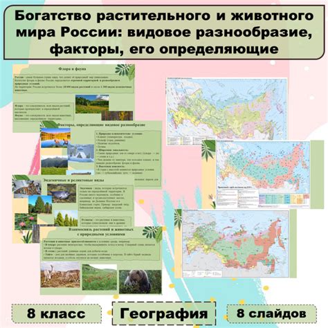  Разнообразие растительного и животного мира на территории меловых гор в Российской Федерации 