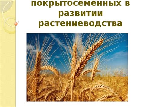  Роль безотходной технологии в развитии современного растениеводства 
