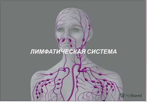  Симптомы и возможные проблемы с лимфатическими узлами в области лица 