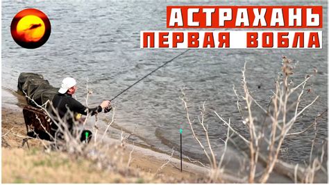5 мест, где легко обнаружить доступные принадлежности для рыбной ловли в окрестностях rr4