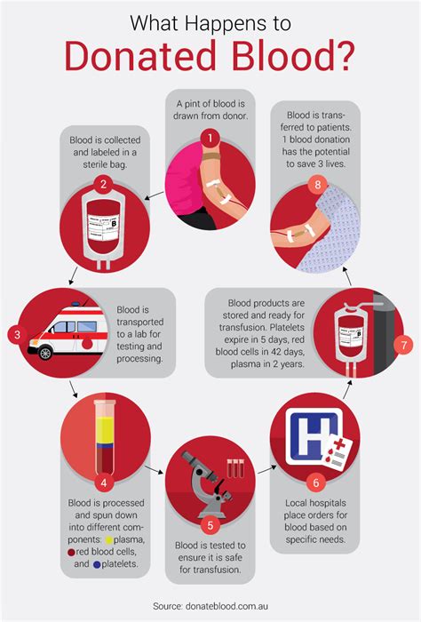 Recomended time to wait between your last meal and blood donation
