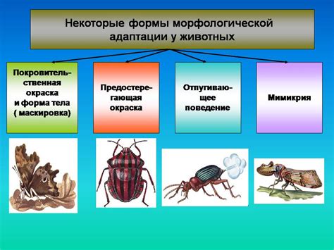 Адаптации растений и животных