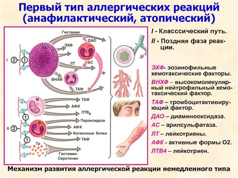 Аллергические реакции на мед: как их предотвратить