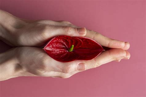 Альтернативные методы гигиены половых губ