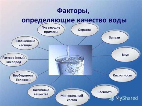 Альтернативные методы очистки воды в домашних условиях без использования бильтрицида