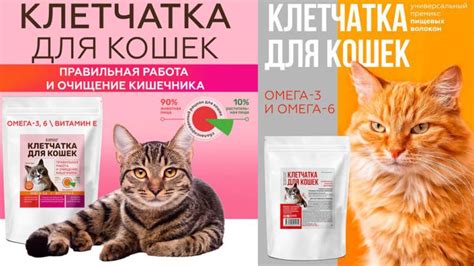 Альтернативные продукты с высоким содержанием жира для кошек