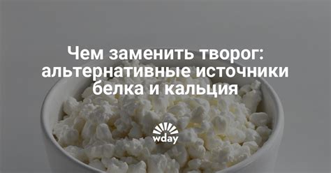 Альтернативы творогу в диете