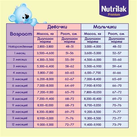 Анализ влияния количества спиц на размер и вес зонта