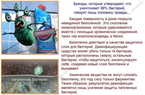Антибактериальное действие чирея: защита от вредных микроорганизмов