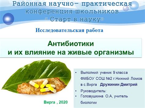 Антибиотики для коров: их влияние на молоко