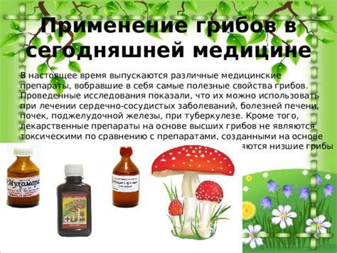 Антибиотические свойства грибов мицелия и их применение в медицине