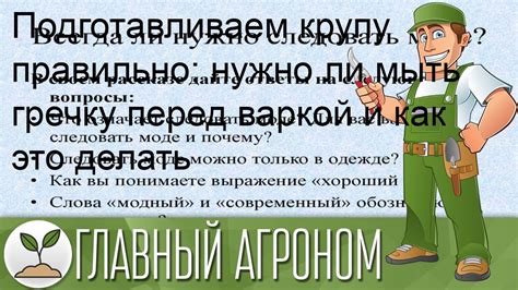 Аргументы против промывания гречки