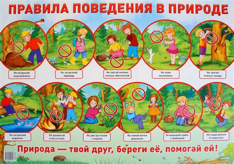 Безопасность и обеспечение выживания в лесу на время проживания