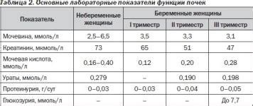 Белок в суточной моче: норма и значение