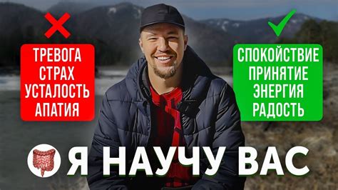 Бестия в Америке: как справиться с трудностями в погоне за ли