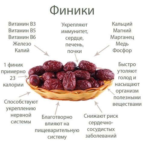 Богатство питательных веществ в косточках от фиников