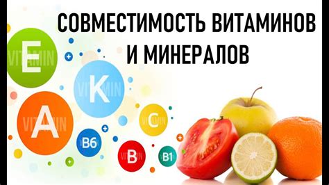 Богат источниками витаминов и минералов