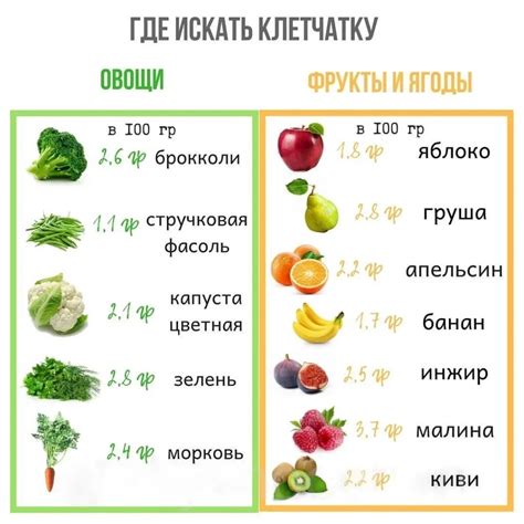 Большое количество клетчатки в тушеных кабачках для нормализации пищеварения