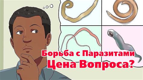 Борьба с паразитами