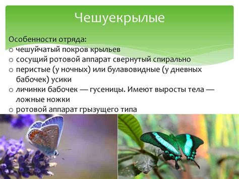 Важная роль человека в экосистеме