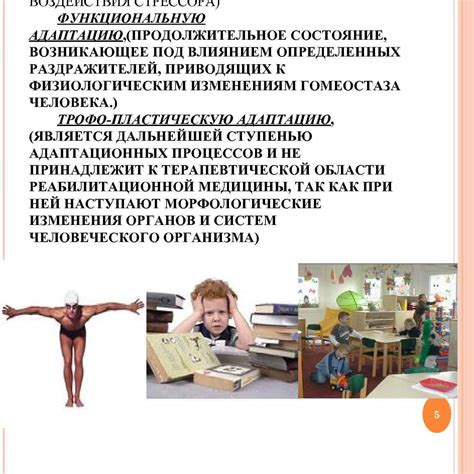 Важность адаптации к внешней среде