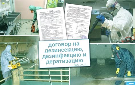 Важность лицензии на дезинсекцию и дератизацию