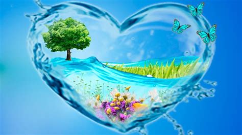 Важность подачи воды утятам на ночь