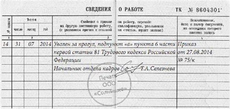 Важность правильного заполнения трудовой книжки