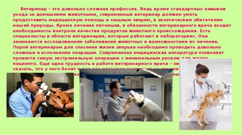 Важность правильного ухода и ветеринарного контроля