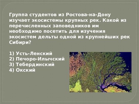 Важность рек для экосистемы