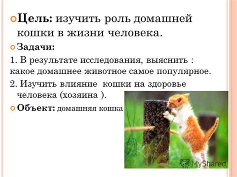 Важность хозяина в домашней жизни