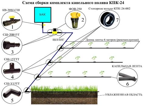 Важные аспекты установки капельной системы