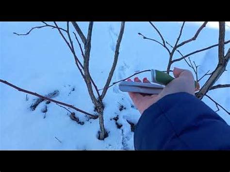 Важные моменты при обрезке