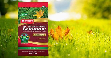 Важные правила подкормки газона осенью