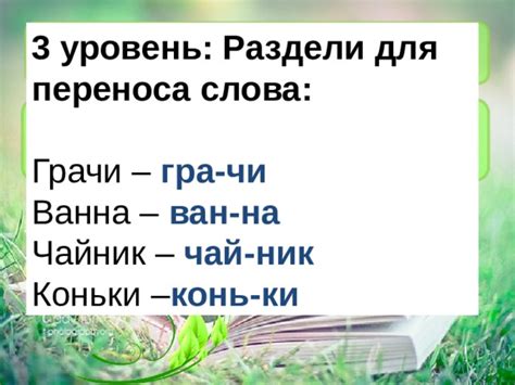 Варианты переноса слова «коньки»