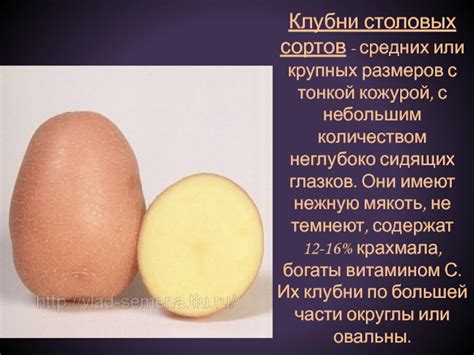 Варианты сортов с тонкой кожурой