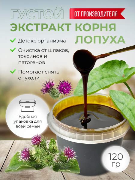 Варианты хранения корня лопуха