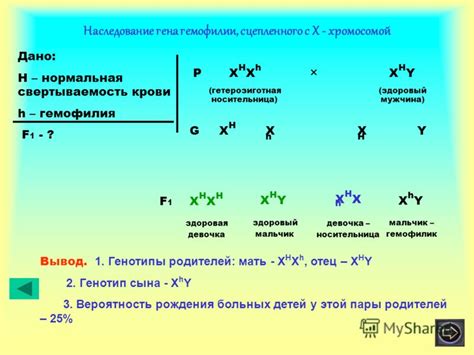 Вероятность наличия дочери у Давы