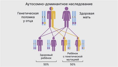 Вероятность наследования генетических заболеваний